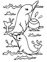 coloriage dauphins jouant avec un ballon